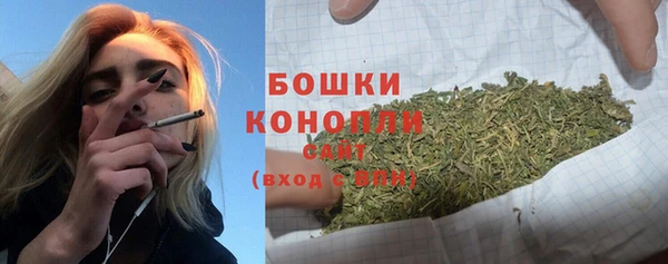 ешки Богданович