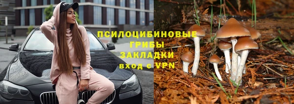 ПСИЛОЦИБИНОВЫЕ ГРИБЫ Богородск