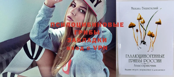 ПСИЛОЦИБИНОВЫЕ ГРИБЫ Богородск